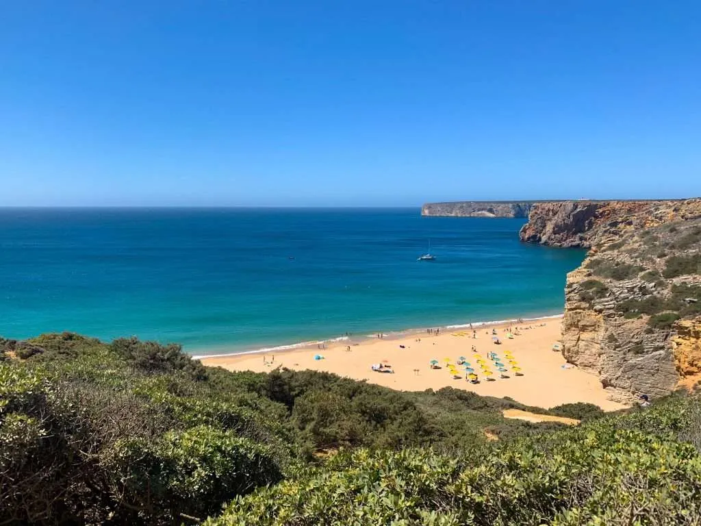 Wide view of Praia De Beliche lined with umbrellas and sunbathers, backed by steep golden cliffs and surrounded by the deep blue Atlantic Ocean stretching to the horizon.