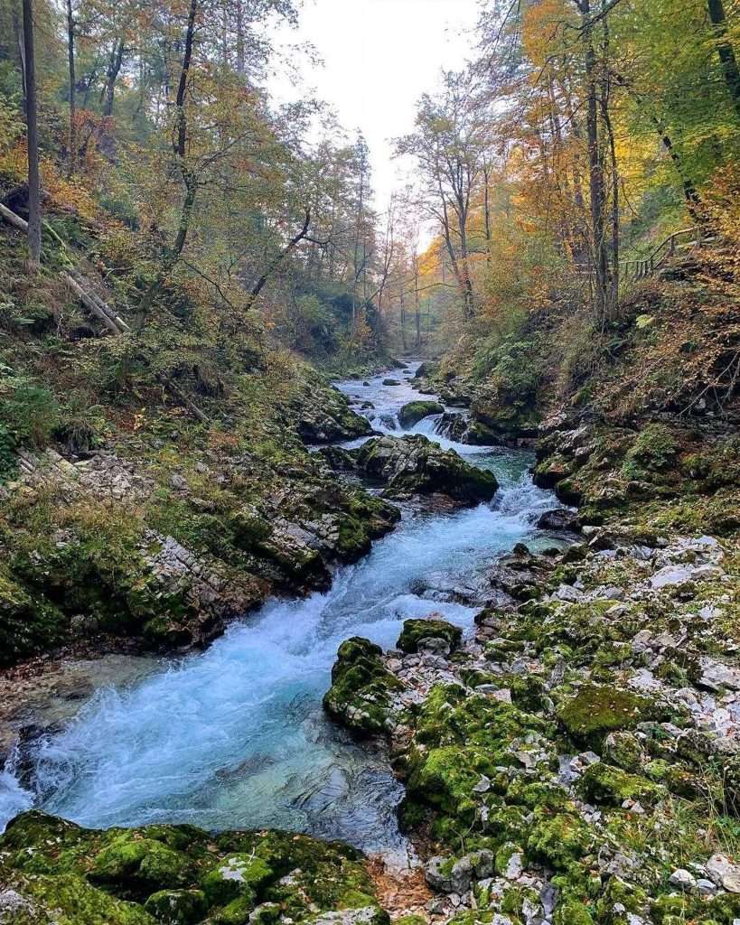 A serene river flows through a rocky, wooded landscape with lush greenery. The water cascades gently over stones, surrounded by trees displaying vibrant autumn colors of orange, yellow, and green under a bright sky.