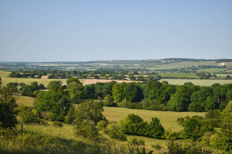 The Chiltern Hills- Ivinghoe Beacon