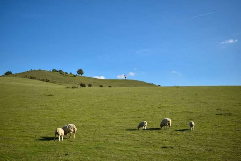 9 STUNNING Walks In The Chiltern Hills