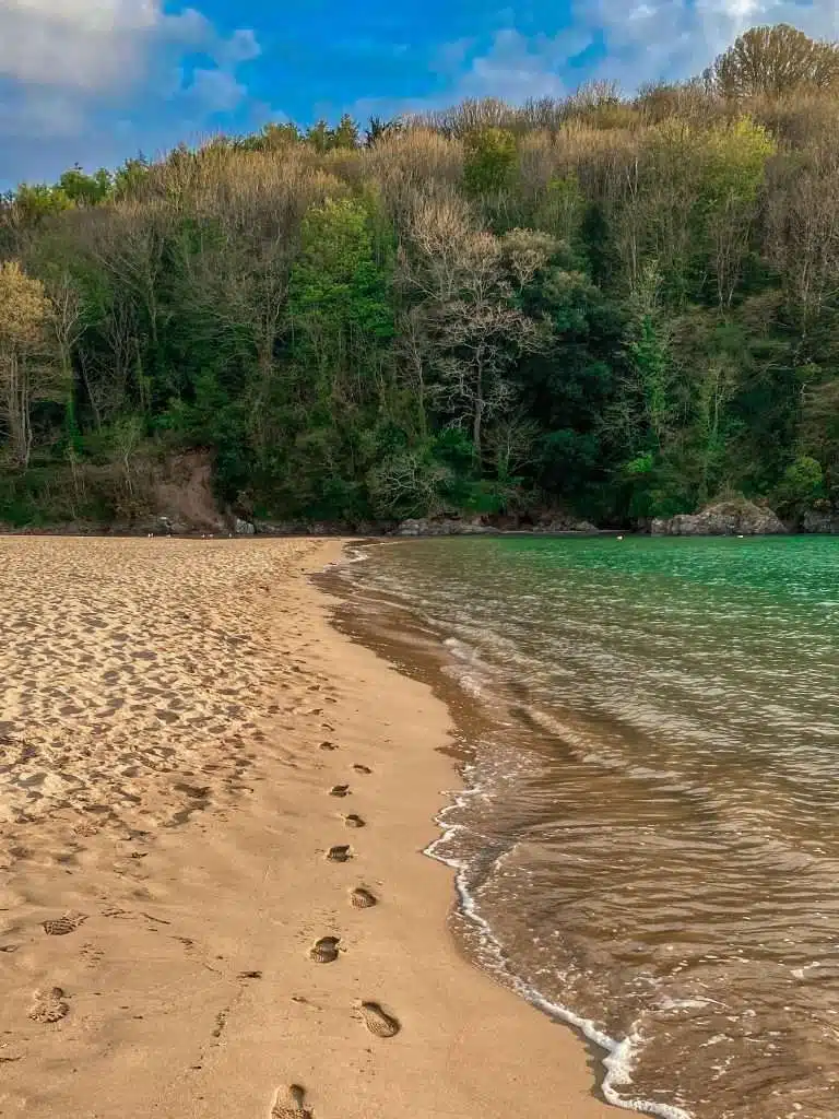 Mill Bay, South Devon