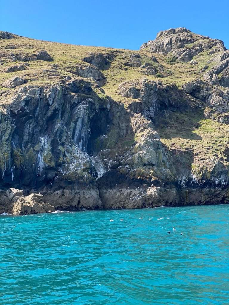 Skomer Island Boat Trip, Pembrokeshire -  Things to do in Pembrokeshire