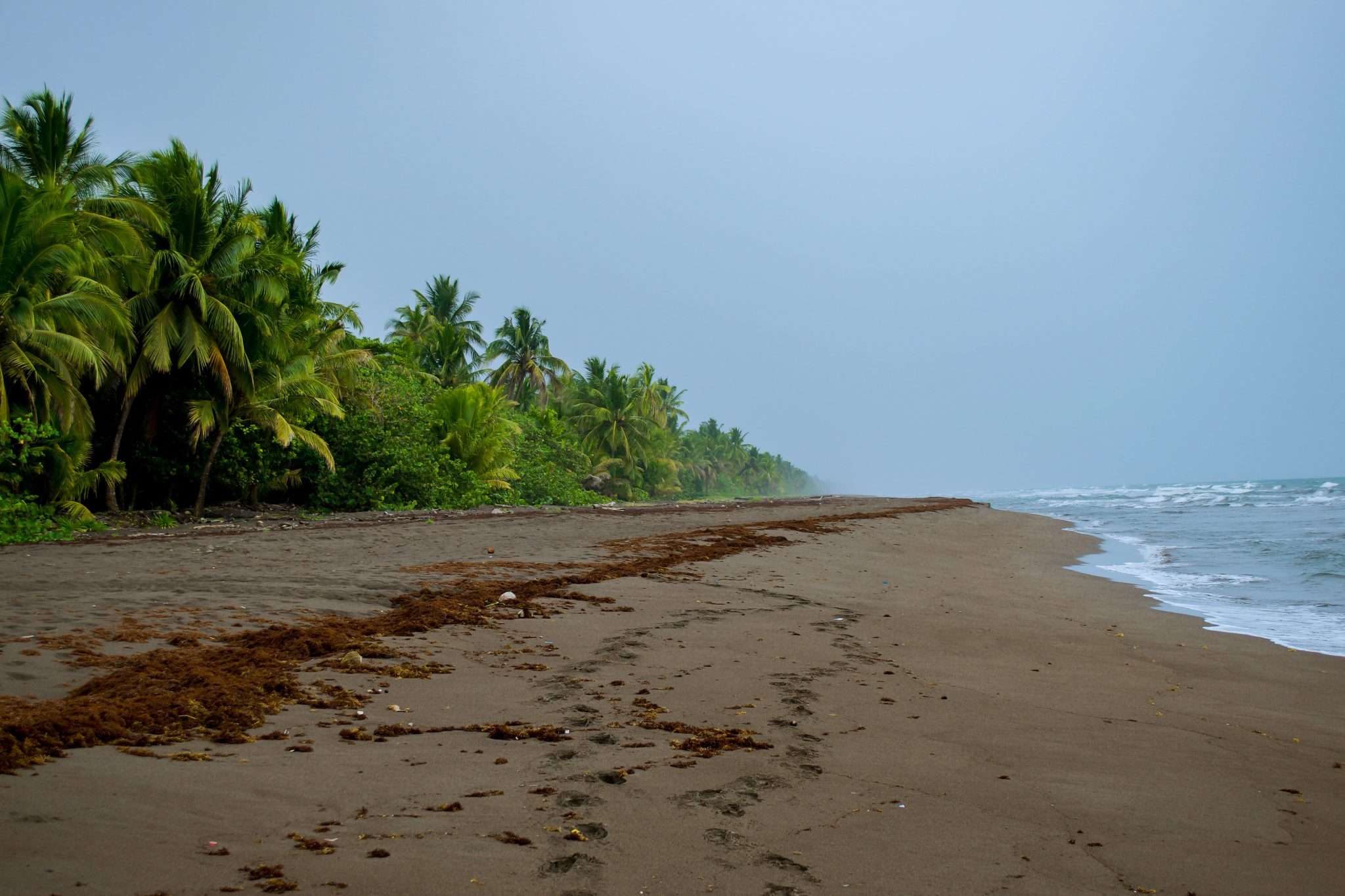 12 Awesome Things To Do In Tortuguero, Costa Rica