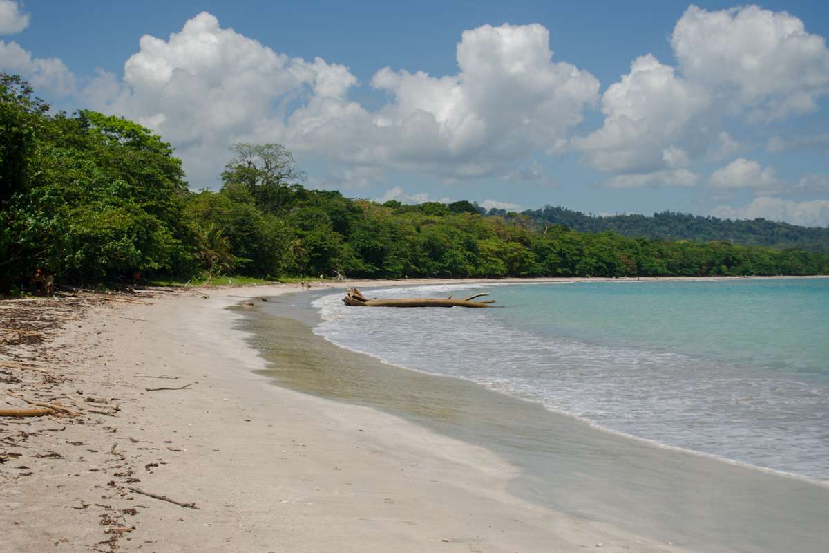 A tranquil tropical beach in Puerto Viejo, with gentle waves lapping at the shoreline. Lush green trees border the white sand, and a large piece of driftwood lies near the water. Fluffy white clouds dot the blue sky, creating a serene atmosphere—a perfect start to exploring things to do in Puerto Viejo.