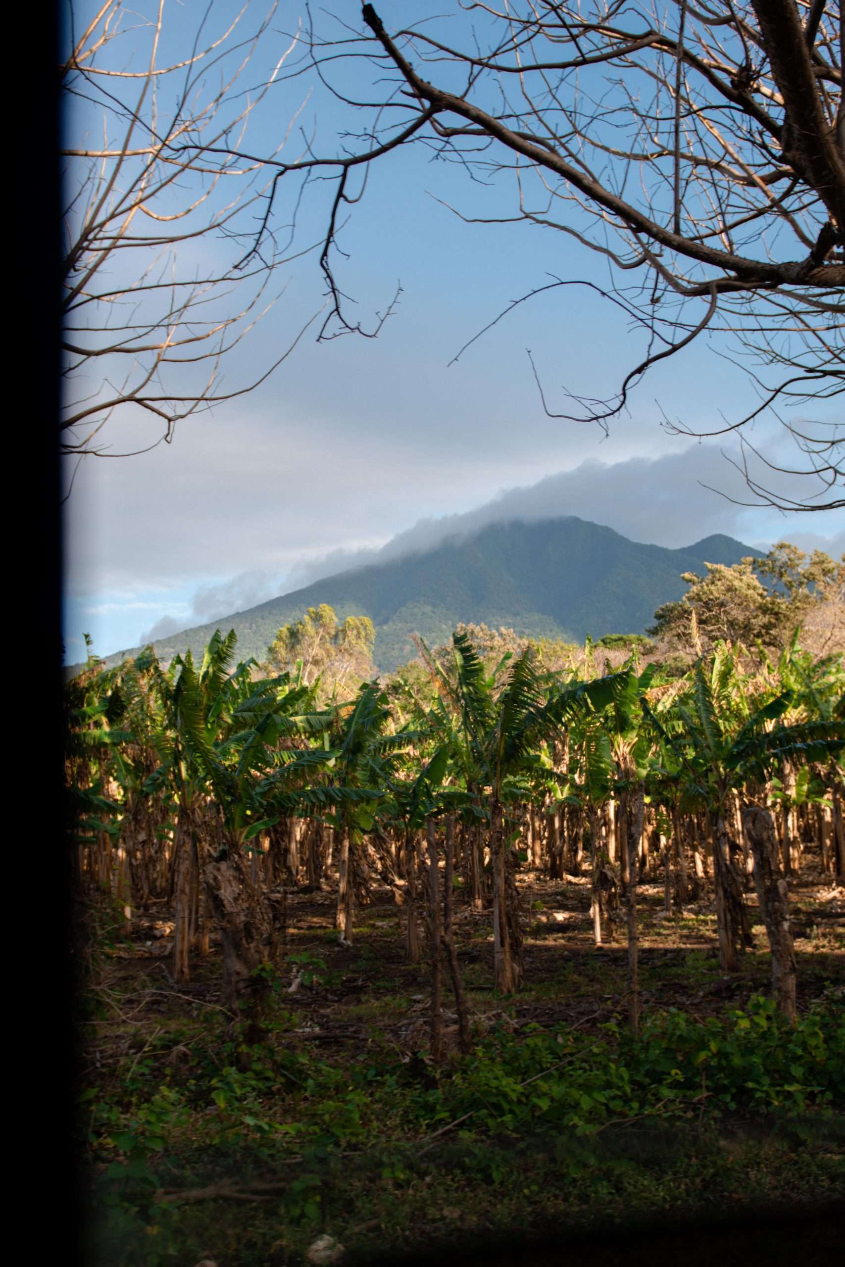 Ometepe, Nicaragua