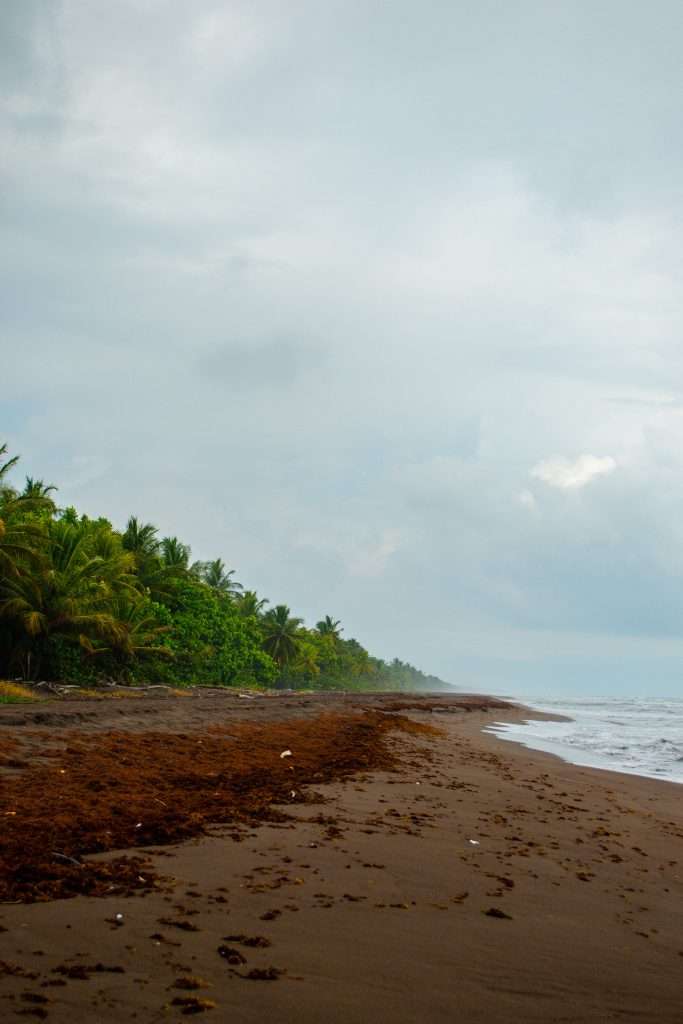 12 Awesome Things To Do In Tortuguero, Costa Rica