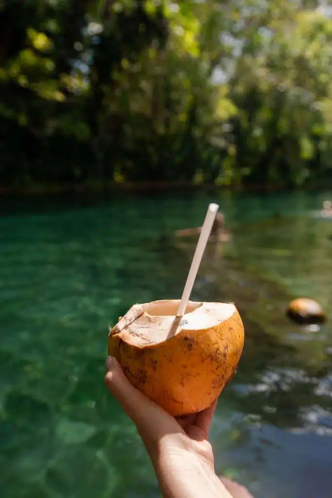 A fresh coconut with a straw held above the crystal-clear waters of Ojo de Agua, a natural spring on Ometepe Island surrounded by jungle. Relaxing at Ojo de Agua is one of the top things to do in Ometepe Nicaragua, and a refreshing break from the island’s hiking and adventure.