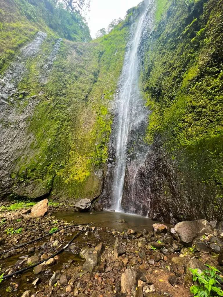 San Ramón Waterfall cascades down a mossy cliff into a rocky pool below, surrounded by lush rainforest on Ometepe Island. This stunning natural wonder is a must-see on any list of Ometepe hikes and one of the top things to do in Ometepe Nicaragua.
