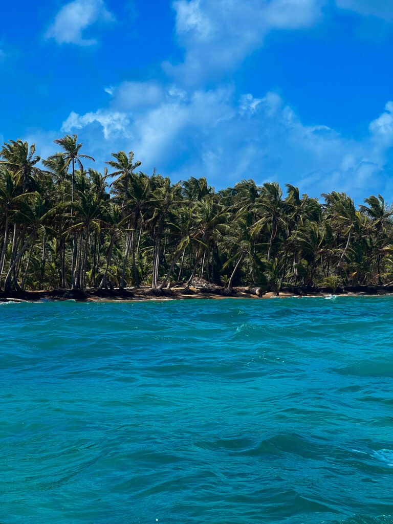 Turquoise ocean water in the foreground with lush green palm trees lining the tropical shoreline of Little Corn Island under a bright blue sky with scattered clouds.