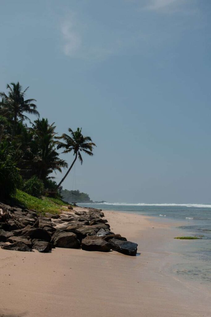 A tropical beach with palm trees, rocks, and gentle waves under a hazy blue skyโperfect for those seeking things to do in Ahangama. The shoreline curves into the distance with lush greenery bordering the sand.