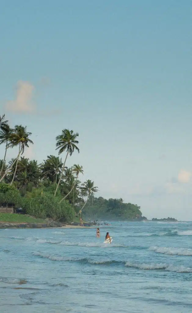 A tropical beach with gentle waves, tall palm trees, lush greenery, and a few people wading and playing in the shallow water under a blue sky—one of the relaxing things to do in Ahangama.