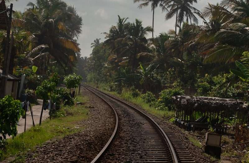 Railway tracks curve through lush greenery and palm trees under a cloudy sky, with small structures and dense vegetation on both sidesโa scenic spot among the top things to do in Ahangama.