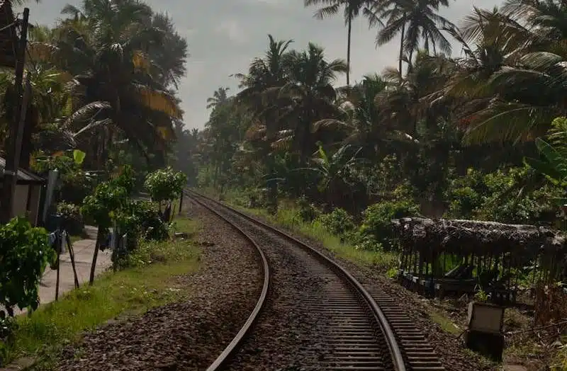 Railway tracks curve through lush greenery and palm trees under a cloudy sky, with small structures and dense vegetation on both sides—a scenic spot among the top things to do in Ahangama.