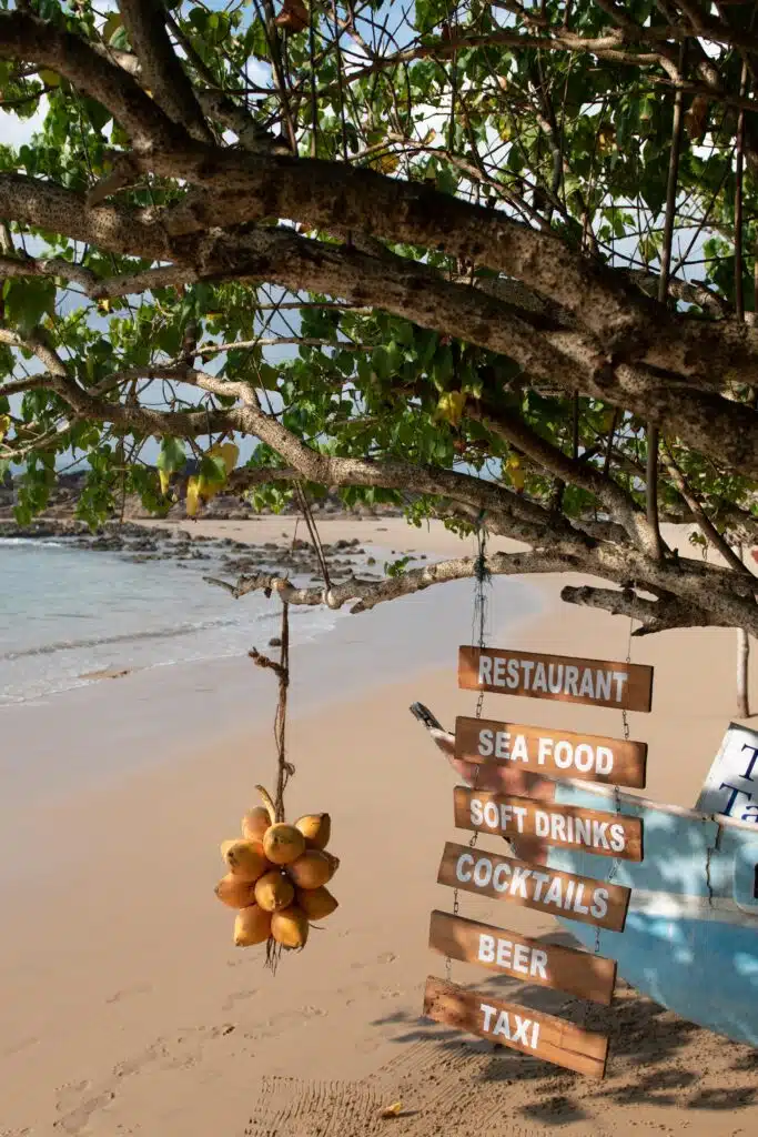 A tropical beach scene in Hiriketiya features a tree with wooden signs for restaurant, seafood, soft drinks, cocktails, beer, and taxi. Palm fruits hang nearby—capturing the laid-back vibe and Things To Do In Hiriketiya by the sandy shore and calm ocean.