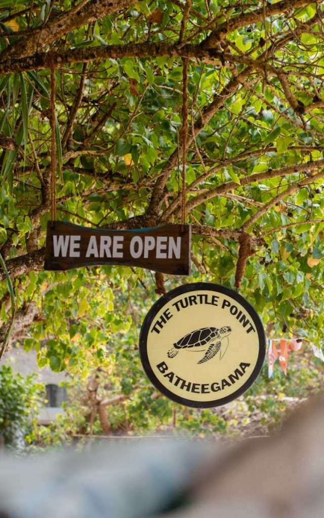 Two signs hang from tree branches—one reads "WE ARE OPEN" and the other is round with a turtle illustration and "THE TURTLE POINT BATHEEGAMA." Green leaves frame the scene, hinting at unique Things To Do In Hiriketiya nearby.