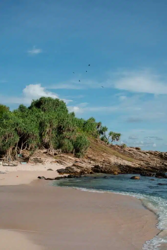 A sandy beach with gentle waves, green shrubs on rocky terrain, and a blue sky dotted with clouds and birds flying overhead—perfect for relaxing or exploring the many things to do in Hiriketiya.