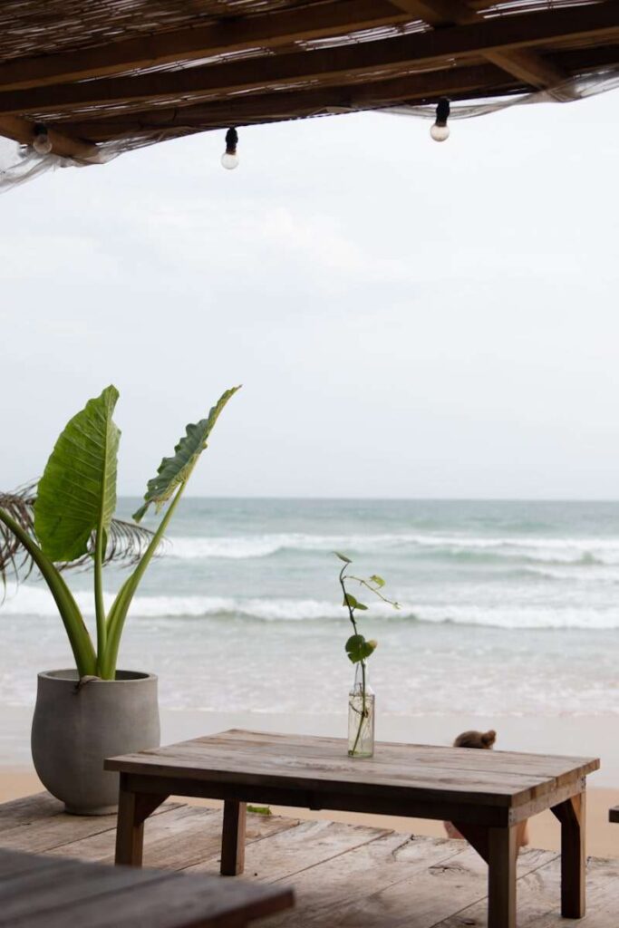 A wooden table with a glass vase and green plant sits under a shaded patio by the beach, perfect for relaxing and enjoying the wavesโone of the best things to do in Ahangama. A large potted plant is beside the table as clouds drift overhead.