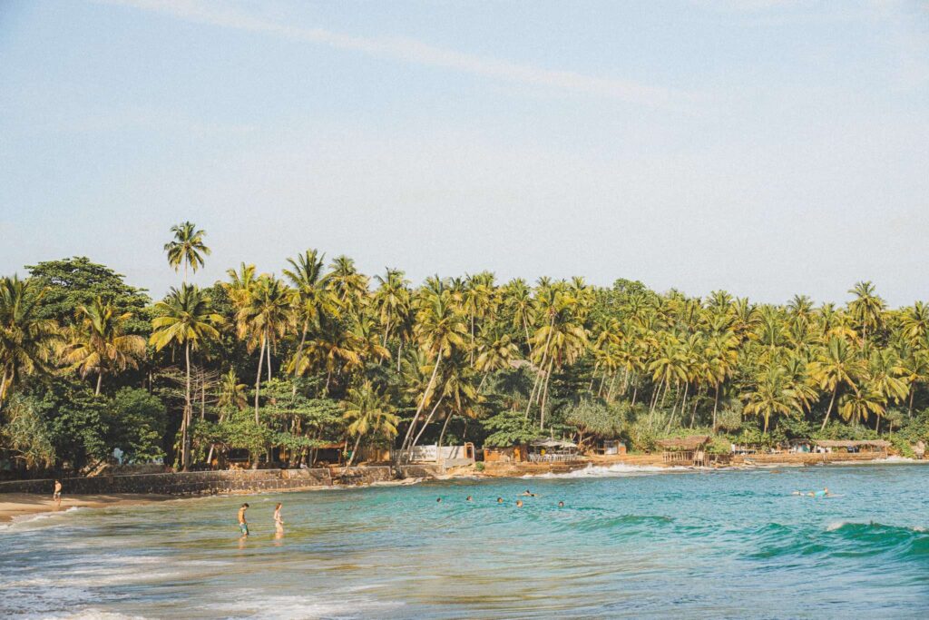 People swim and walk along the shore of a tropical beach lined with tall palm trees and dense greenery under a clear skyโone of the relaxing things to do in Hiriketiya.