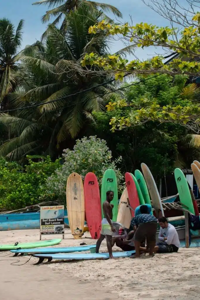 A group of people gather near surfboards standing upright in the sand on a tropical beach, with palm trees and greenery in the background—a perfect scene among the top things to do in Hiriketiya. Signs nearby read “Surf Board Rent.”.
