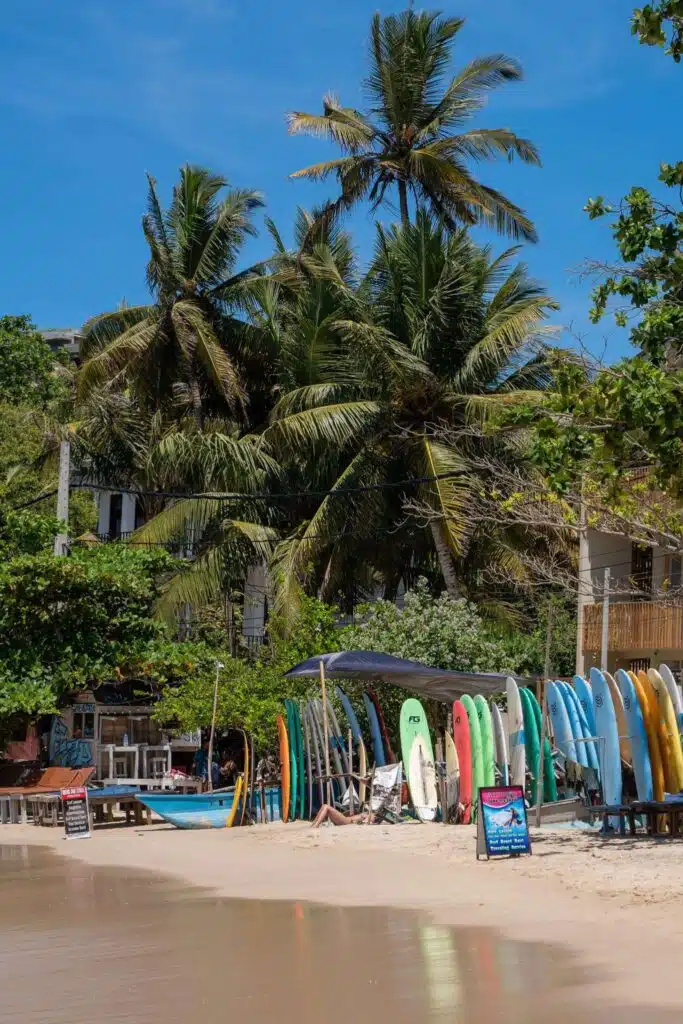 A row of colorful surfboards stands upright on a sandy beach in front of a surf shack—one of the classic things to do in Hiriketiya—surrounded by tall palm trees, lush greenery, and a clear blue sky.