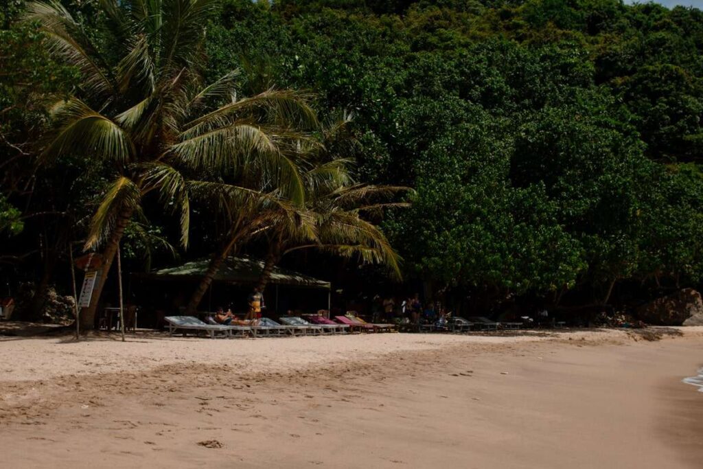 A sandy beach with empty lounge chairs under palm trees, shaded by lush greenery; a few people relax in the background near a small shelterโperfect for unwinding or exploring things to do in Ahangama.