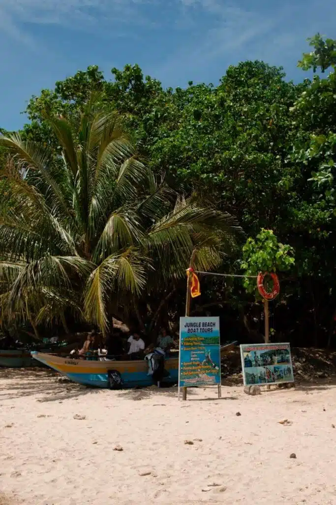 A sandy beach with lush green trees, a small boat under the shade, and two colorful signs advertising "Jungle Beach Boat Tours." A lifebuoy hangs nearby—perfect for those seeking fun things to do in Ahangama under a sunny blue sky.