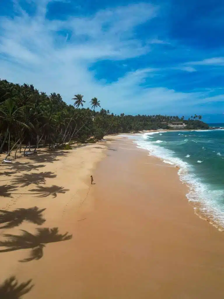 A person stands alone on a wide, sandy beach in Hiriketiya, bordered by lush palm trees and turquoise waves under a partly cloudy blue sky—a perfect setting for discovering the many things to do in Hiriketiya as the shoreline curves into the distance.