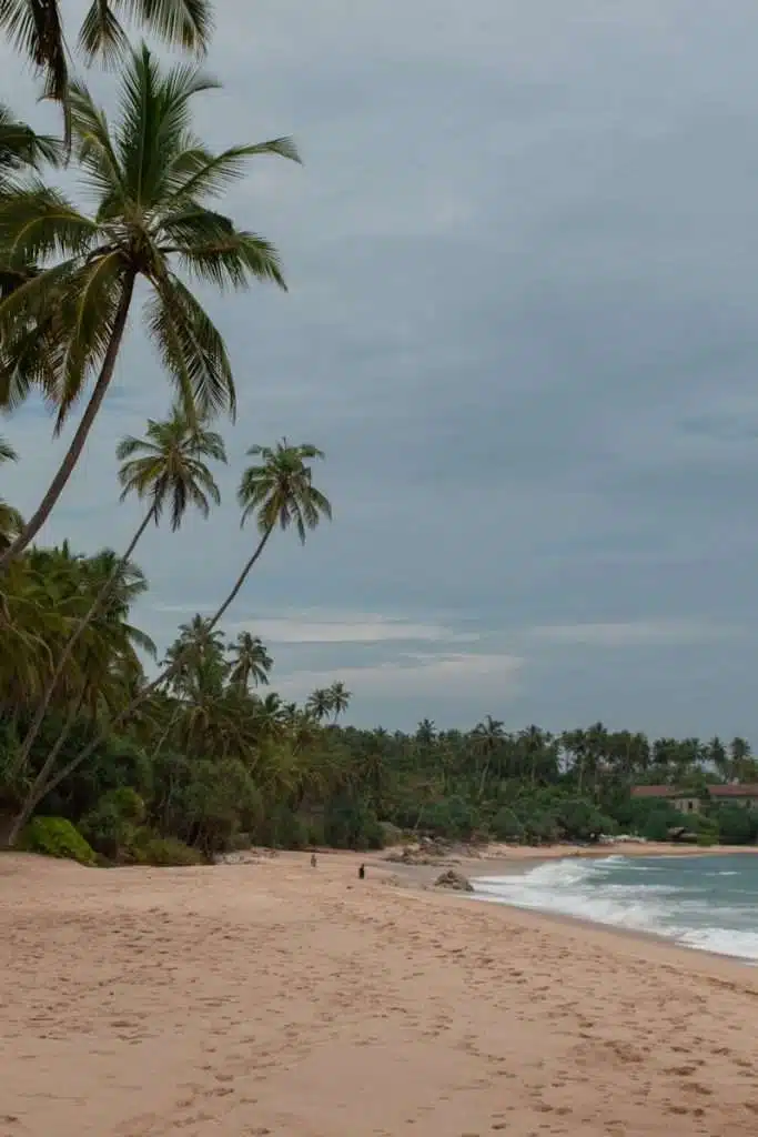 A tropical beach with golden sand, tall palm trees leaning over the shore, gentle waves, and a cloudy sky—perfect for those seeking Things To Do In Hiriketiya. Footprints trail the sand as lush greenery lines the edge of this tranquil paradise.