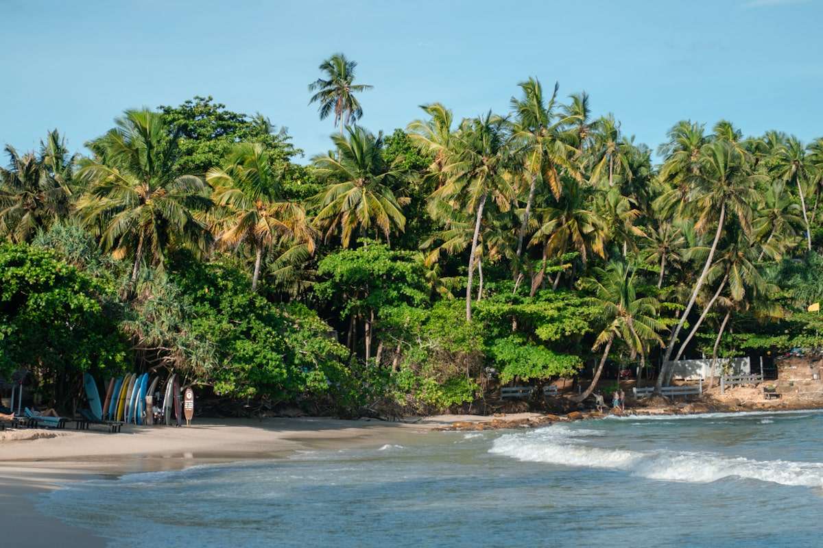 A tropical beach scene with gentle ocean waves lapping at the sandy shore. Lush green palm trees and foliage line the edge of this Hiriketiya gem. Among the surfboards leaning against a small structure, you’ll find clues to thrilling things to do in Hiriketiya, promising adventure and relaxation.