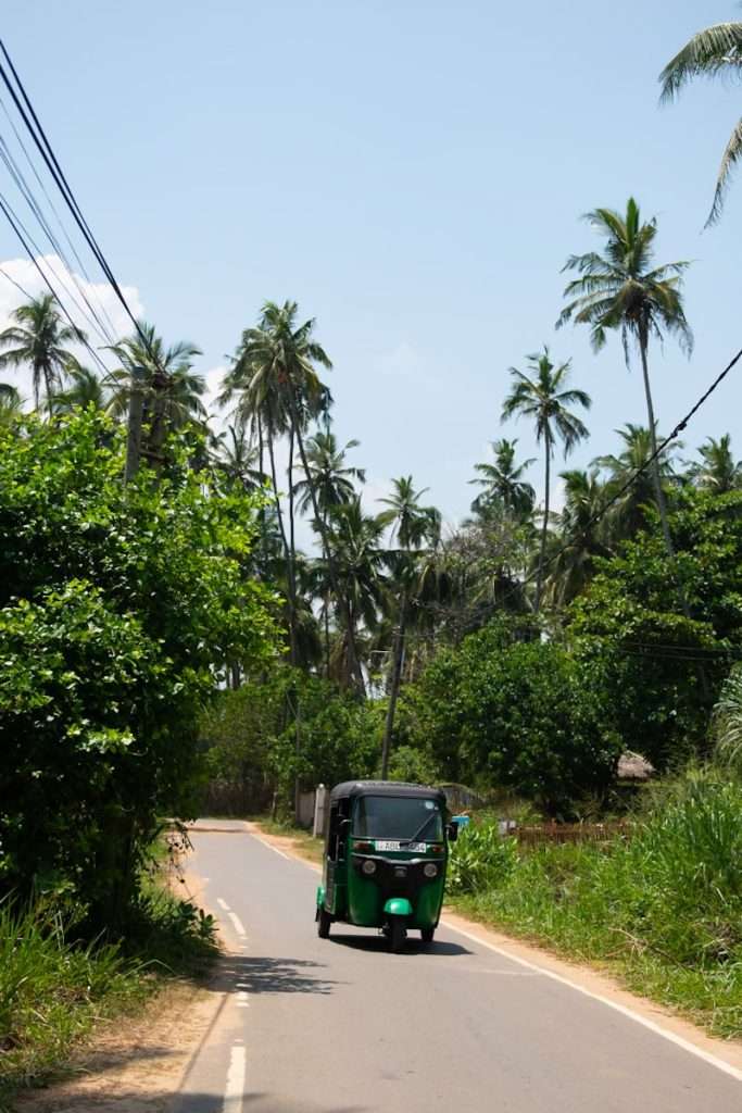 A green tuk-tuk zips down a narrow road, flanked by lush greenery and towering palm trees, under Hiriketiya's clear blue sky—a perfect introduction to the hidden gems waiting in this tranquil haven.