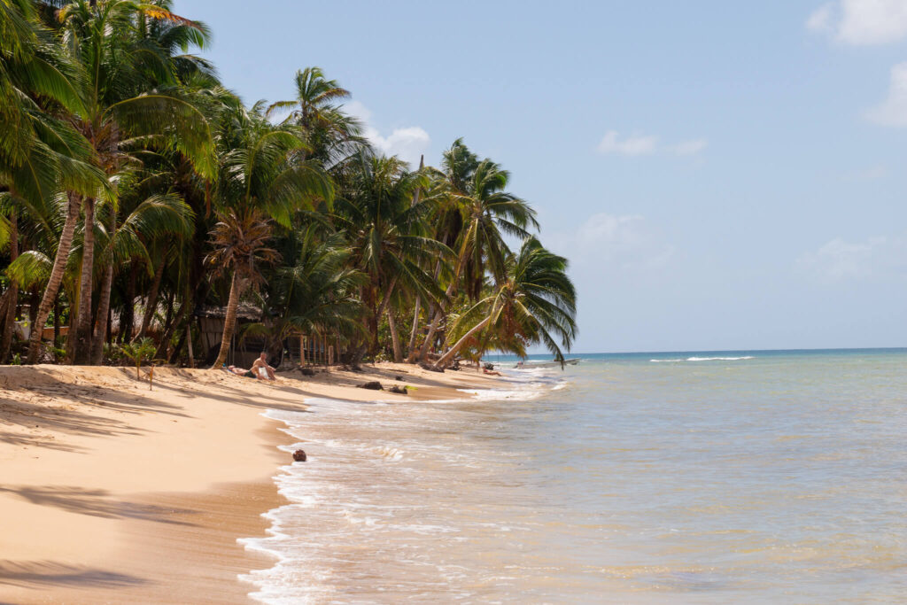A tropical beach with golden sand, clear blue water, and tall palm trees lines the shore under a sunny sky—a perfect spot to relax during your 10-Day Nicaragua Itinerary as you sit near the water’s edge and enjoy the peaceful scenery.