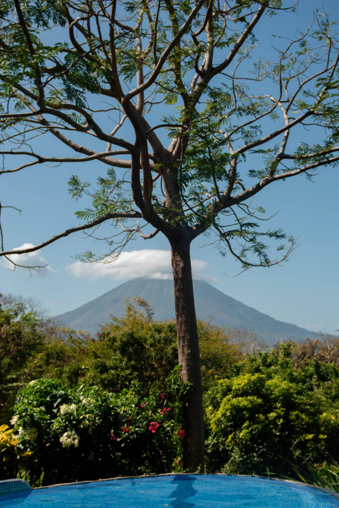 A tall, leafless tree stands in the foreground, partially blocking the view of a distant volcano with a cloud covering its peak—a scene you might encounter on your 10-Day Nicaragua Itinerary. Lush green bushes and flowering plants surround a blue pool below.