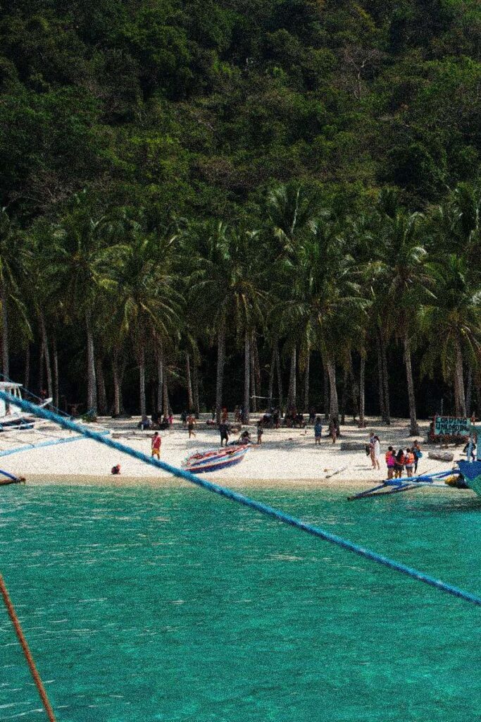 People gather on a sandy beach lined with tall palm trees, a must-see stop on a Philippines island-hopping itinerary. Turquoise water fills the foreground, boats moored near the shore, and dense green forest rises in the background.