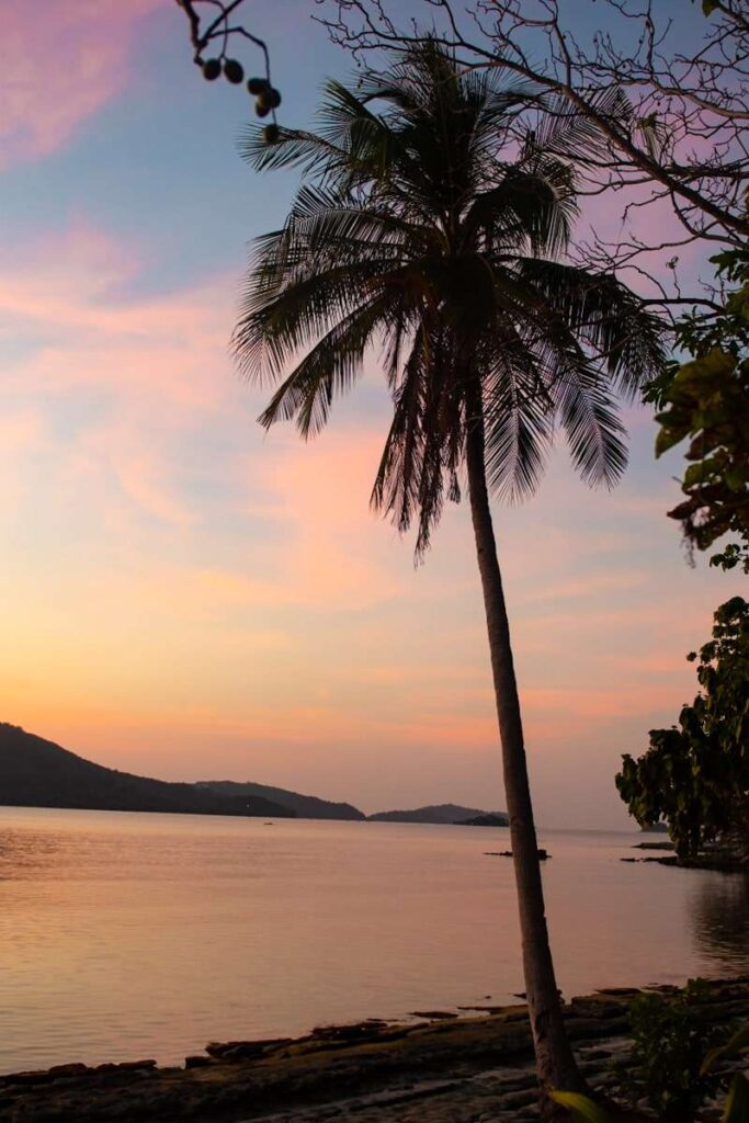 A tall palm tree stands by the shore at sunset, silhouetted against a colorful sky of pink, orange, and blue—a serene Isla Experience with calm water and distant hills in the background.