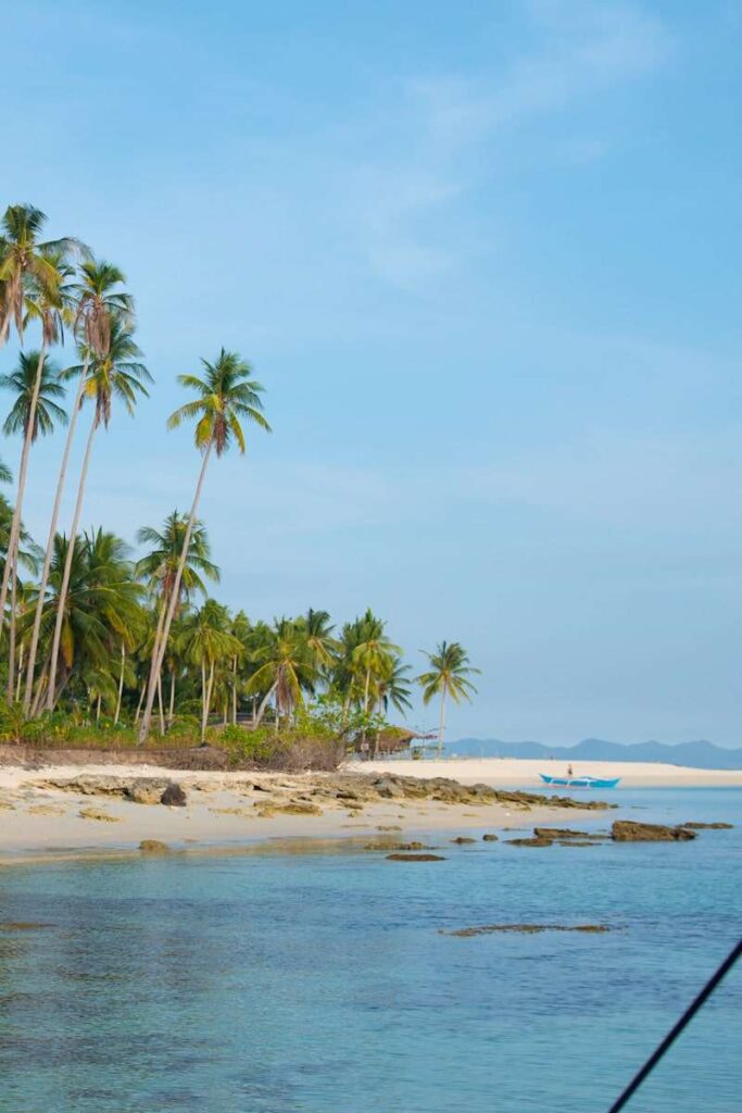 A tropical beach with tall palm trees, clear blue water, and white sand offers the ultimate Isla Experience. A small blue boat rests on the shore beneath a bright, clear sky.