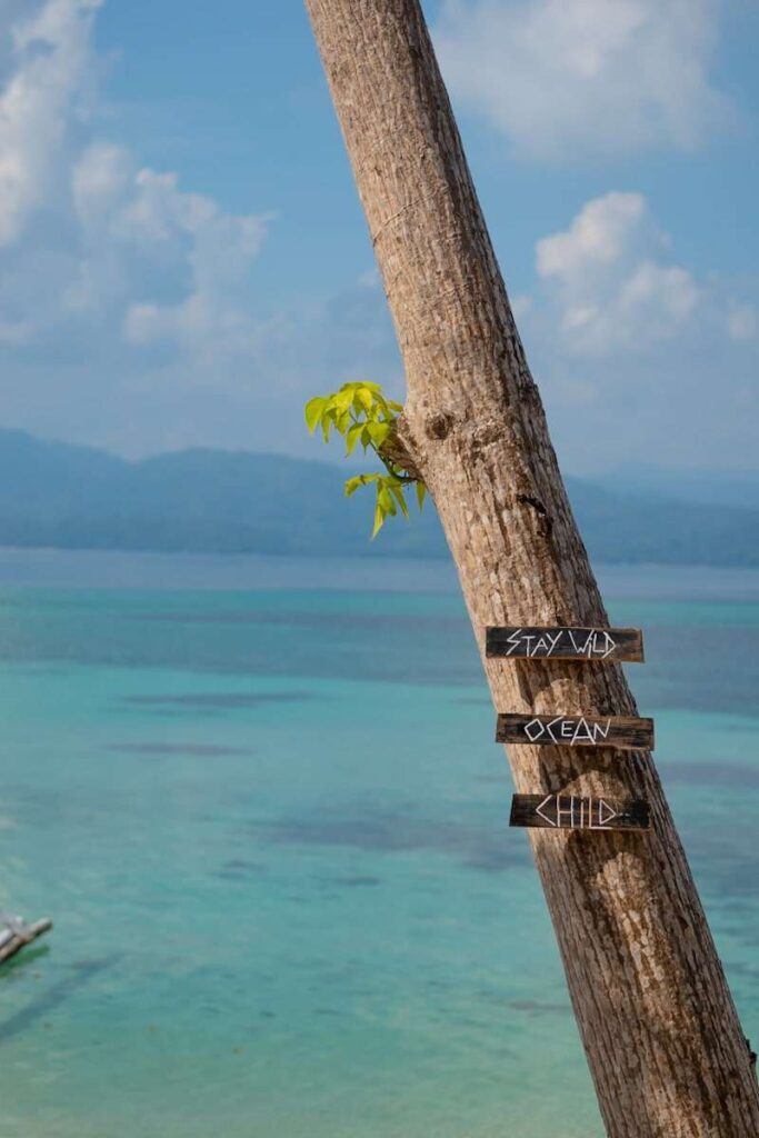 A tree trunk by turquoise ocean water has three small wooden signs nailed to it, reading "STAY WILD," "OCEAN," and "CHILD." Enjoy the Isla Experience with a blue sky and distant hills in the background.