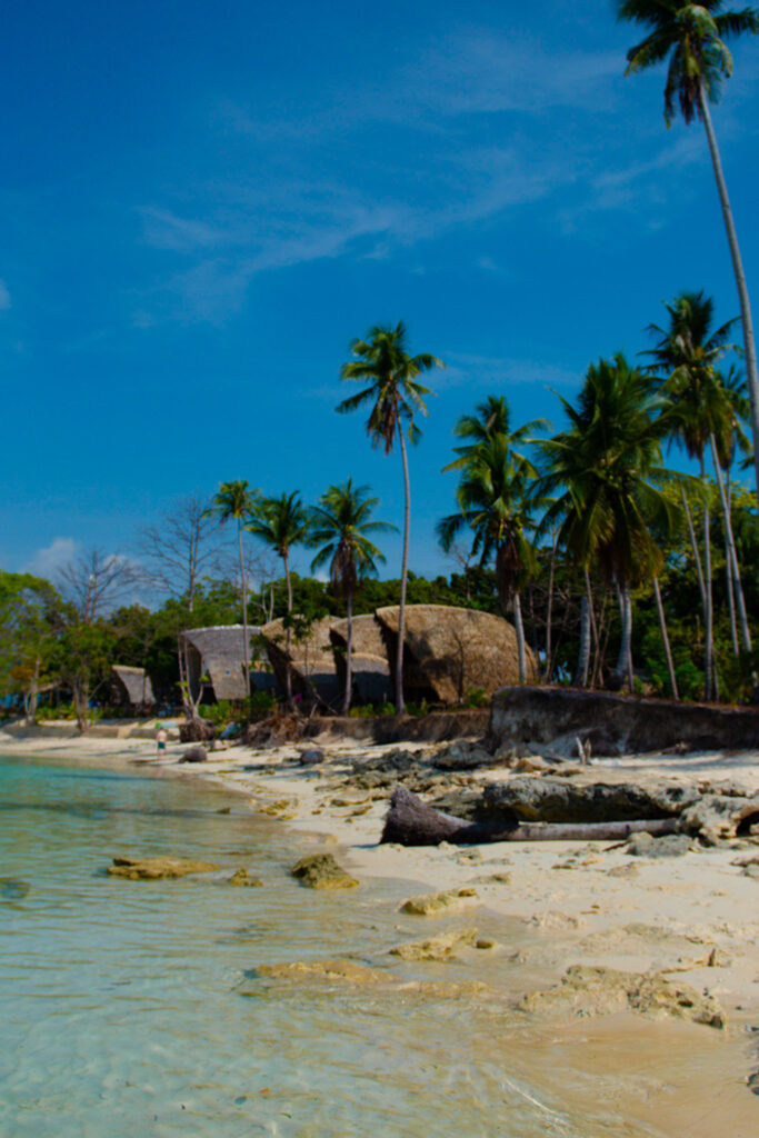 Clear turquoise water laps onto a sandy beach lined with palm trees and rustic thatched-roof huts under a bright blue sky, capturing the essence of Isla - The Island Experience.