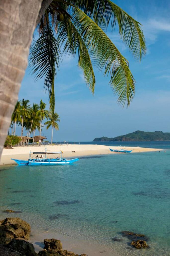 A tropical beach with clear blue water, palm trees, and a blue outrigger boat near the shore. Huts and more palms line the sandy beach, while a green island glows on the horizon—your perfect Isla Experience under a bright blue sky.