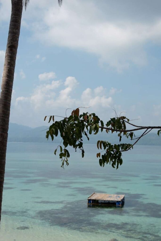 A calm tropical seascape with clear, shallow water, a small floating wooden platform, a palm tree, and leafy branch in the foreground—this serene Isla Experience is framed by distant mountains under a partly cloudy sky.