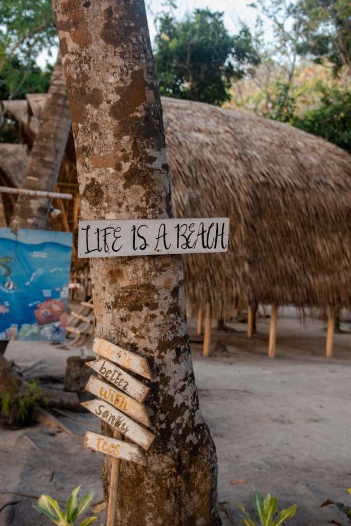 A palm tree with a sign reading "Life is a beach" and smaller wooden arrows below pointing in different directions captures the laid-back Isla Experience. A thatched hut and lush greenery complete the tropical scene.