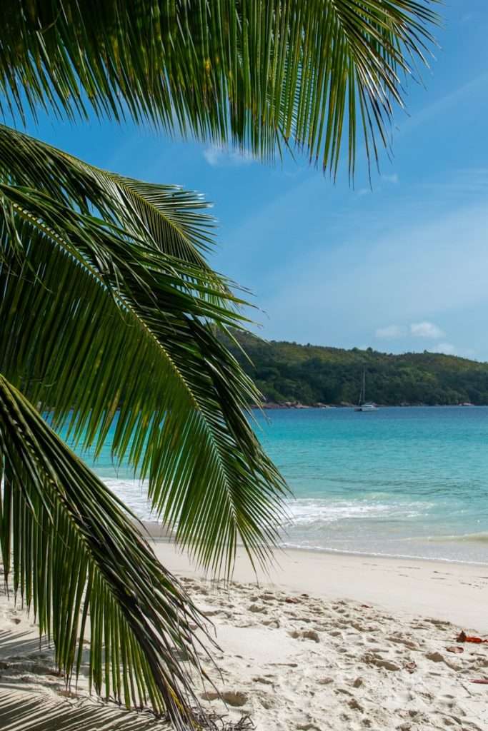 A tropical beach scene features turquoise waves gently lapping against a sandy shore. A sailboat is visible in the distance on the vibrant blue sea. Palm fronds hang down in the foreground, partially framing this serene landscape—a perfect start to your 5-day Seychelles itinerary - Anse Lazio Beach