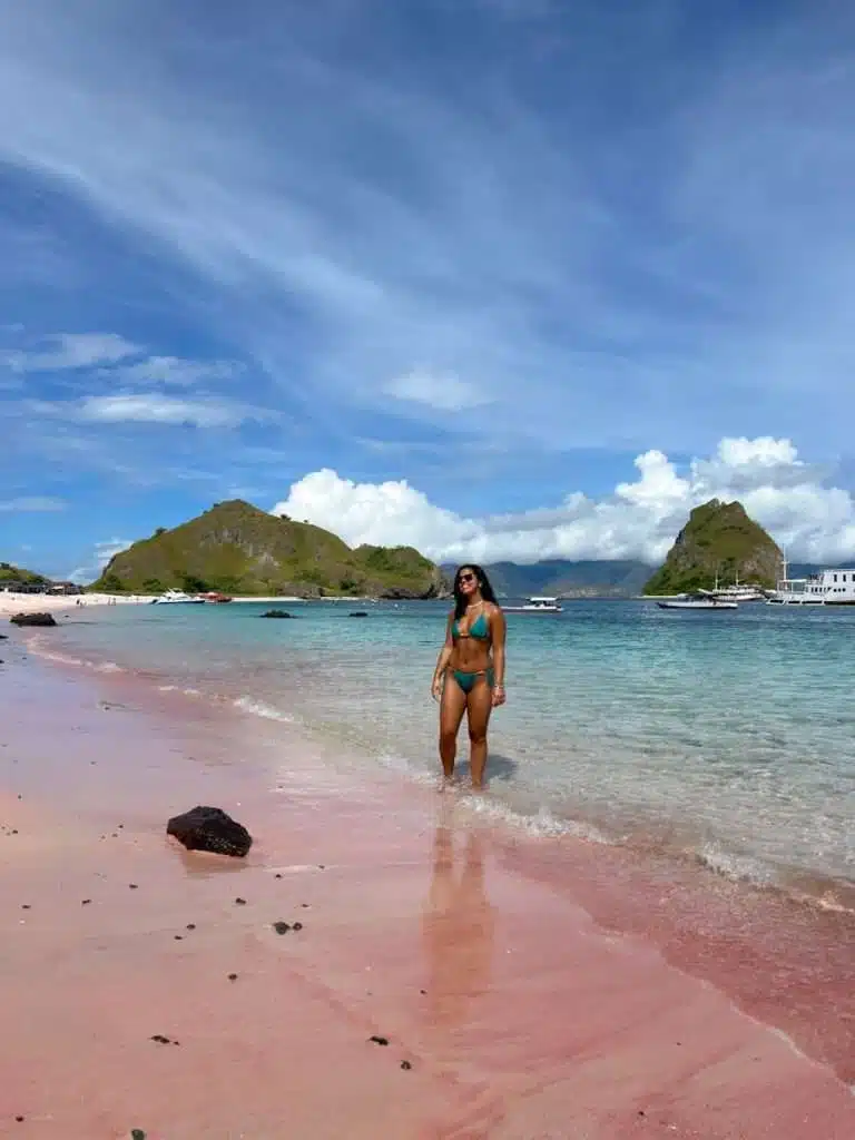 Pink Beach. Komodo National Park, Komodo Island Day Trip