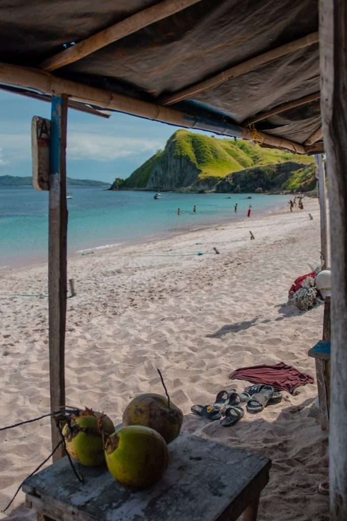 Pink Beach, Komodo National Park, Komodo Island Day Trip