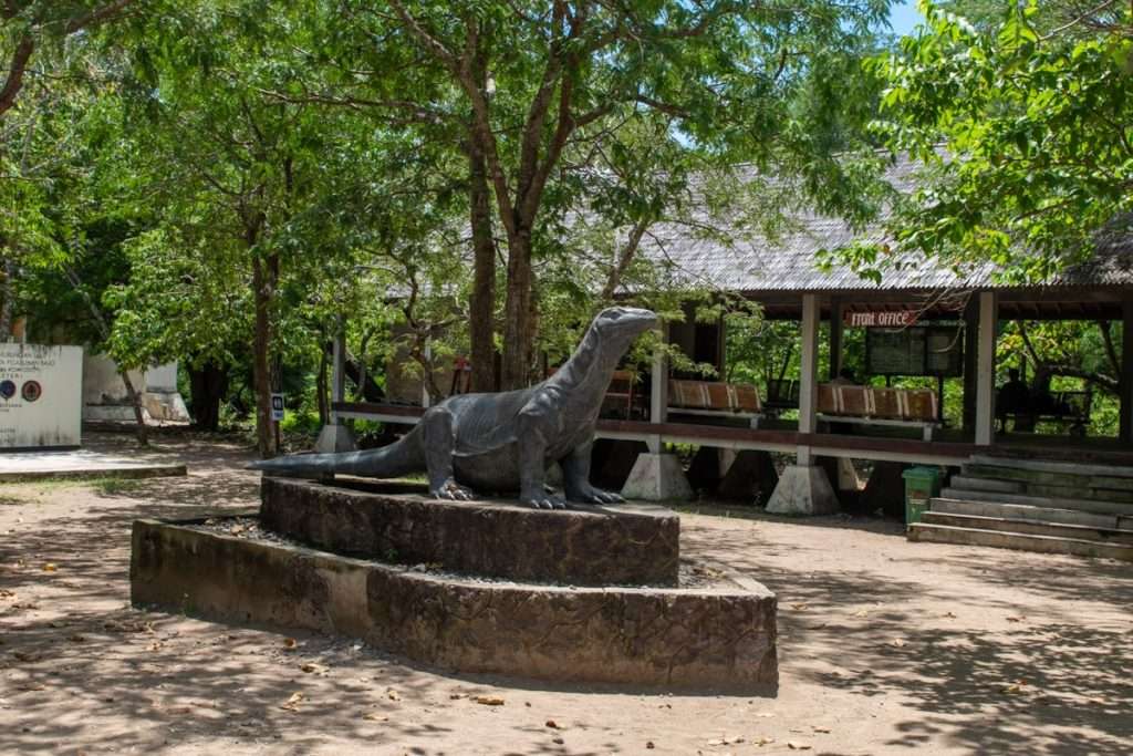  Komodo National Park, Komodo Island Day Trip 