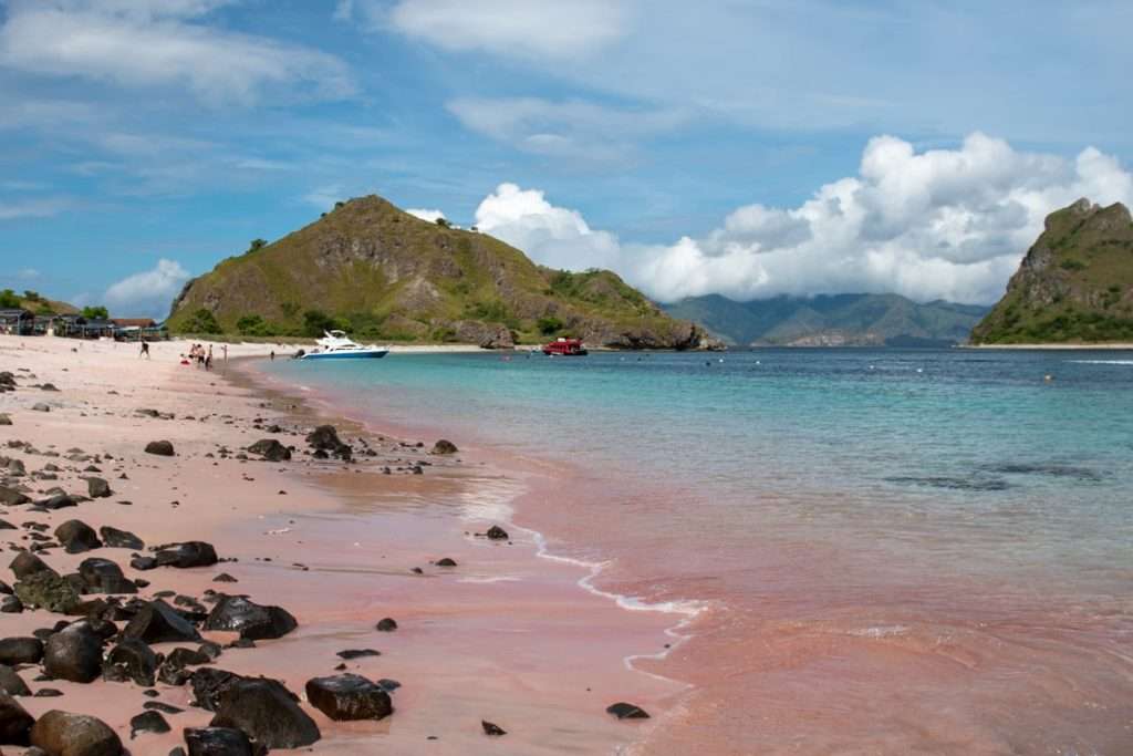 Pink Beach. Komodo National Park, Komodo Island Day Trip 