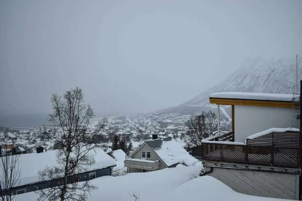 Fjellheisen Cable Car View