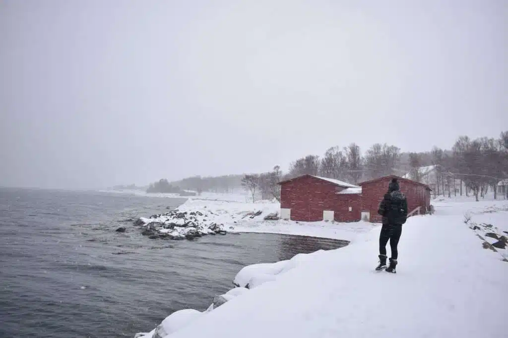 A person strolls along a snow-covered path by the waterfront, reminiscent of the scenic route from Tromsø to Senja. The sky is overcast, with snow gently falling. Two red wooden buildings stand to the right, encircled by snowy trees, while rocks line the water's edge.