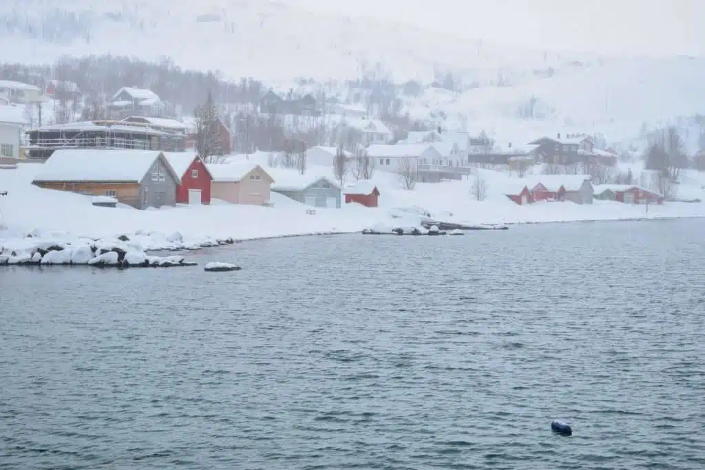 Tromso to Senja Road trip