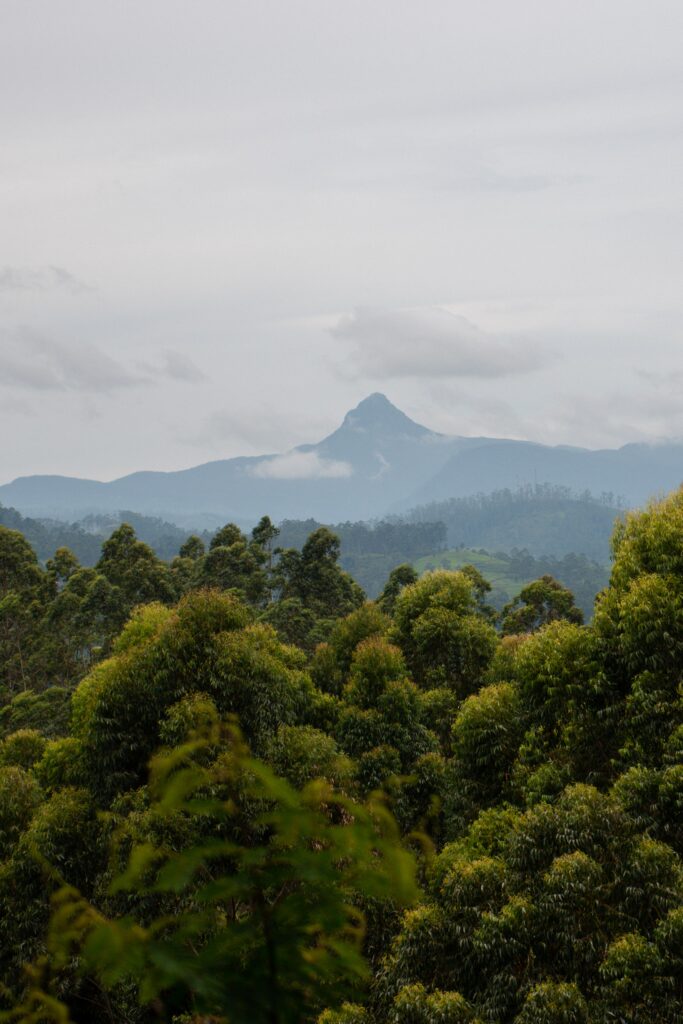 A distant, pointed mountain peak rises above lush green forest and rolling hills under a cloudy skyโscenery that often invites the question: is Sri Lanka safe for solo female travellers?.