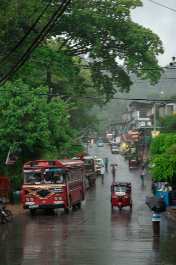 A busy street in a tropical Sri Lankan town during rainfall, with people walking under umbrellas, vehicles including a red bus and tuk-tuks, and lush green trees lining the wet roadโcapturing everyday life and hinting at why many ask, โIs Sri Lanka safe for solo female travellers?โ.